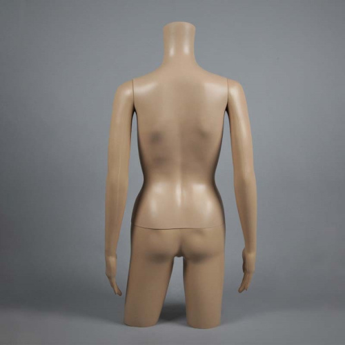 Манекен торса женский FT-2S фото 2