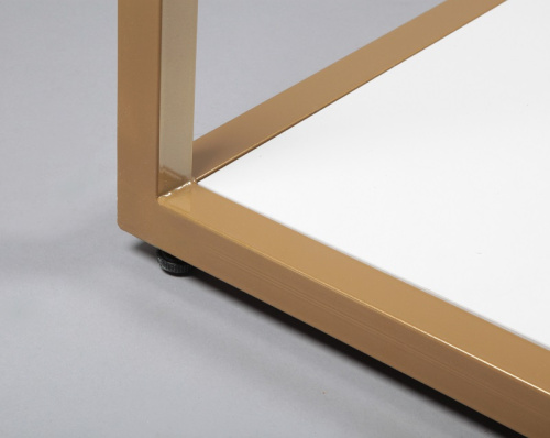 Стол демонстрационный СД-07-Л(зол/бел) фото 3